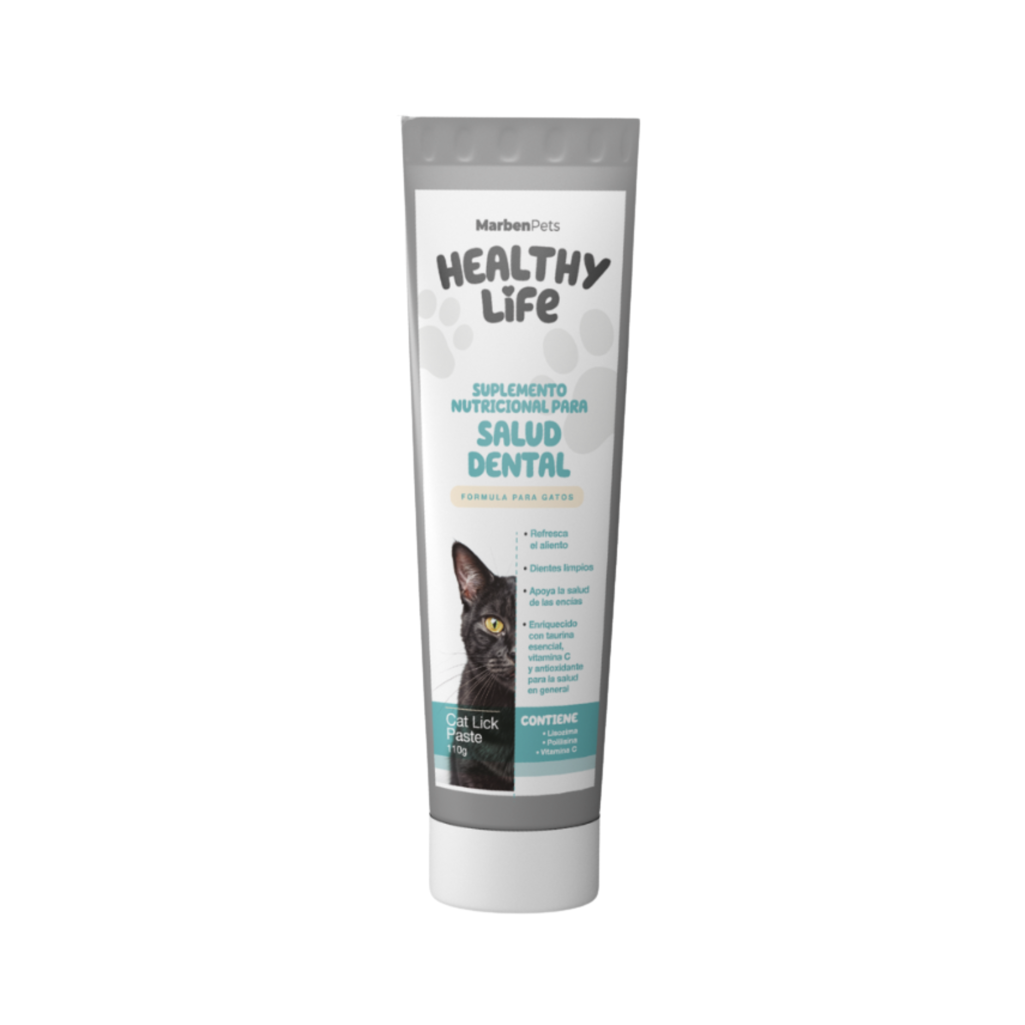 HEALTHY LIFE SALUD DENTAL