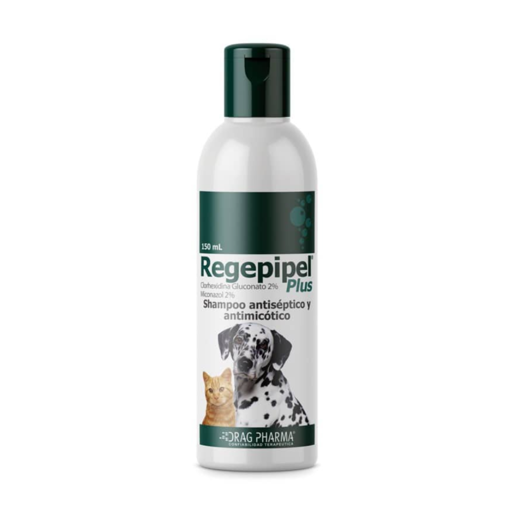 REGEPIPEL PLUS